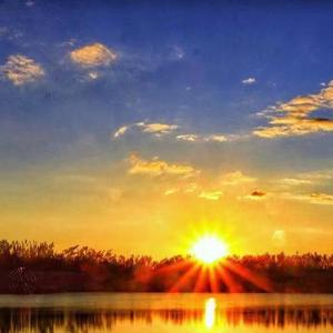 真心对你有感觉