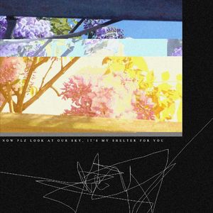 Now plz look at our sky, It's my shelter for you.