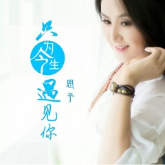 只为今生遇见你 (DJ枫叶版)