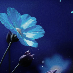 许我亿万光年 —— 恋与深空 · 沈星回（原创同人曲）