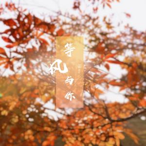 等风与你