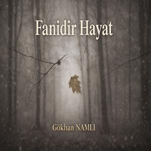 Fanidir Hayat