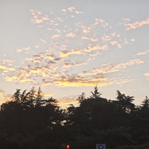 释然的夜晚