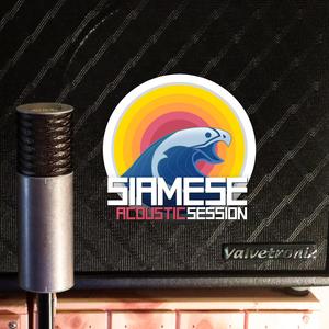 Siamese (Acoustic session)