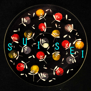 Suisei (Original Mix)