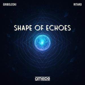 Shape Of Echoes