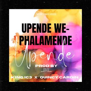 Pende (feat. Quincy Cardin)