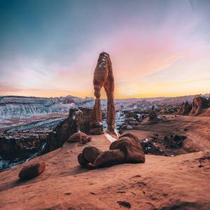 Bradtke Forest Thigh