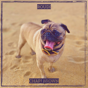 Roudi