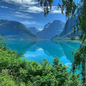 音乐的旋律带你飞翔