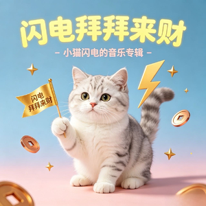 闪电来财.mp3