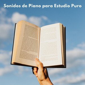 Colecciones De Enfoque