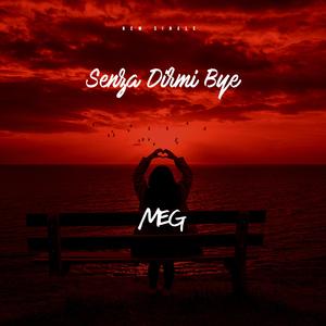 Senza Dirmi Bye