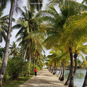 适合酒店经典的音乐