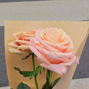 you（ProdbyBECUBEATZ）