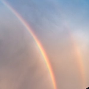 【Free】cyan (prod. 蜜蜂练气功)