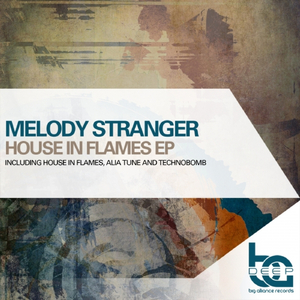 House in Flames (Original Mix)