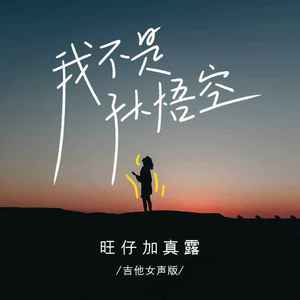 我不是孙悟空 (吉他女声版)