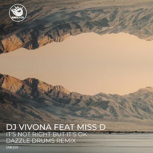 It's Not Right But It's Ok (Dazzle Drums Remix)