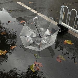 我借一场雨