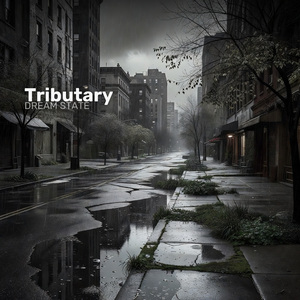 Tributary