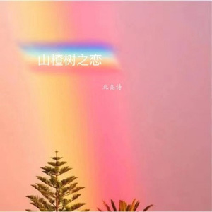 山楂树之恋 (女声版伴奏)