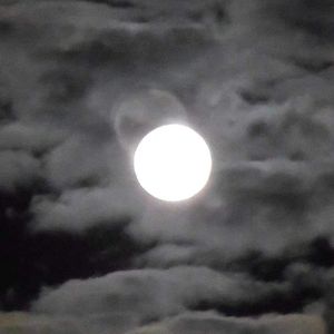 栾小姐的一千零一夜