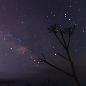 Sternenhimmelserenade