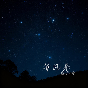 等风来