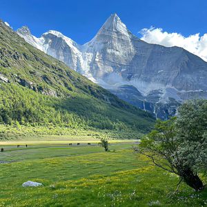 不确定乐队-废墟之上种下天光（唯一 remix）