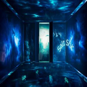 SaltShk