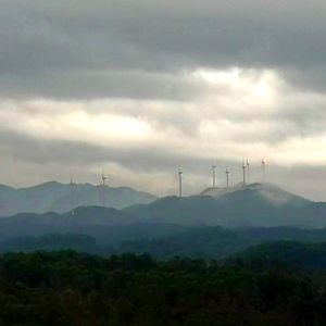 我的朋友张撕远