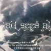 包包包包菜 - God sees all