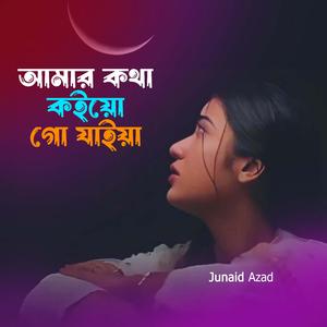 আমার কথা কইয়ো গো যাইয়া