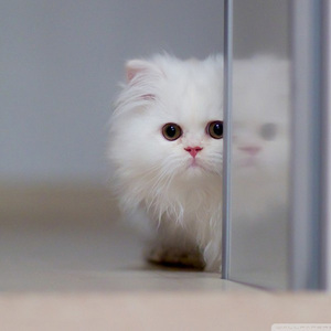 宝宝催眠曲摇篮曲