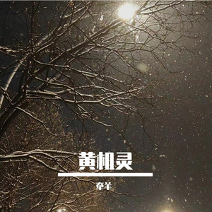 黄机灵 伴奏