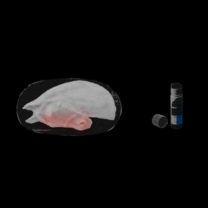 time loop at hot slit