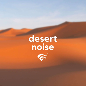 Desert Noise