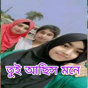 তুই আছিস মনে