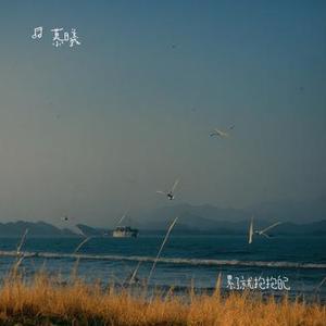 累了就抱抱自己 (Cover 善善²²³)