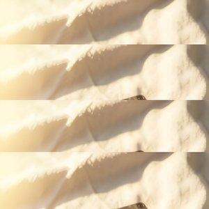 Fading Sunlight