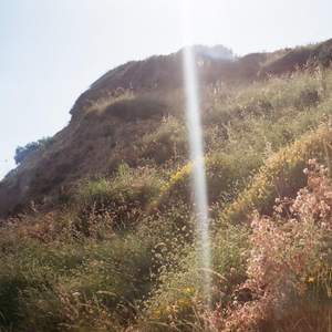 the trip we never took