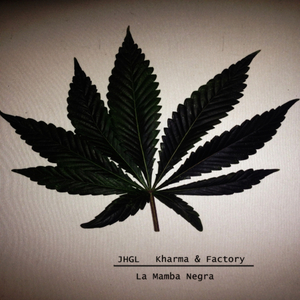La Mamba Negra (Original Mix)