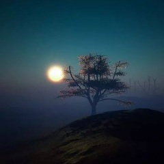 你是我这一生最难解的题