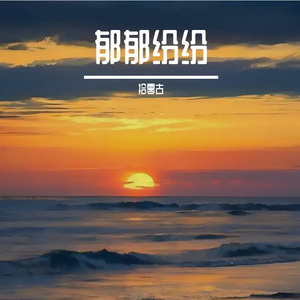 铁轨尽头的野花DJ 伴奏