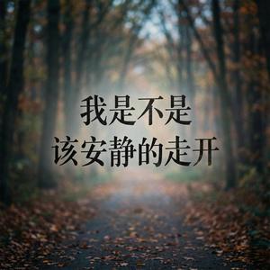 我是不是该安静的走开