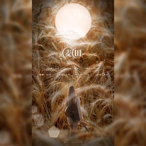 麦田（祝小沫狮虎生日快乐）（翻自 蓝心羽）