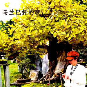 乌兰巴托的夜（翻自 江珊）