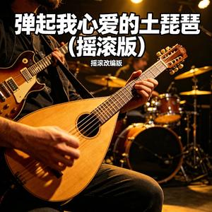 弹起我心爱的土琵琶-摇滚（赵骏JUN remix）