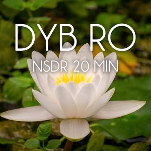 NSDR 20 min - del 1 (Meditation)